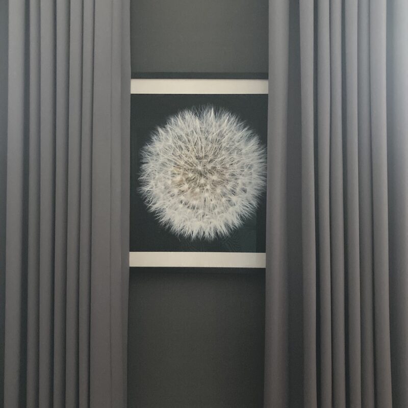 Dandelion Clock